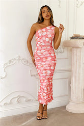 Eliza One Shoulder Mesh Maxi Dress